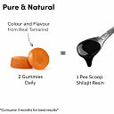 Shilajit Gummies