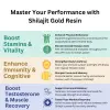 Shilajit Gold Resin (Pack of 1)