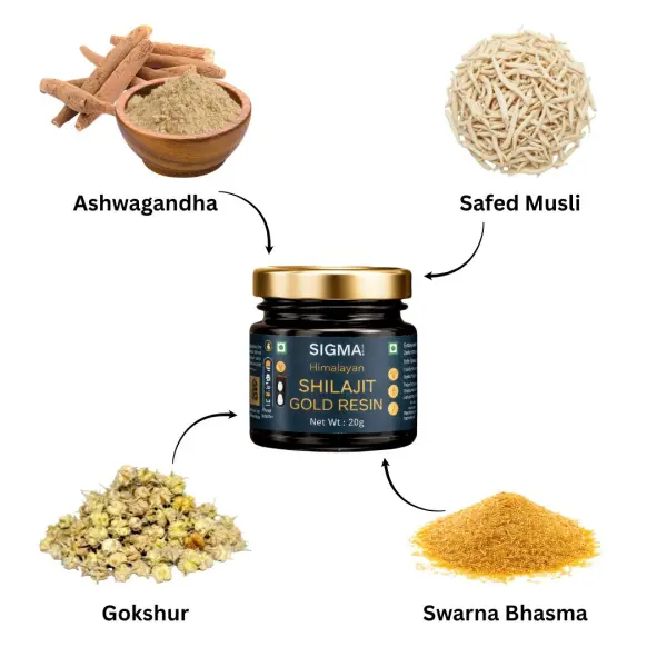 Shilajit Gold Resin (Pack of 1)